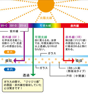 クールベール